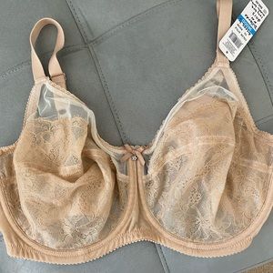 Wacoal Beige Bra 36DDD